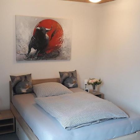 1 Zimmer Appartment Springe Eksteriør bilde